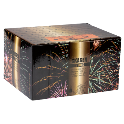 Skagen batteri(Fyrvaerkeri19)